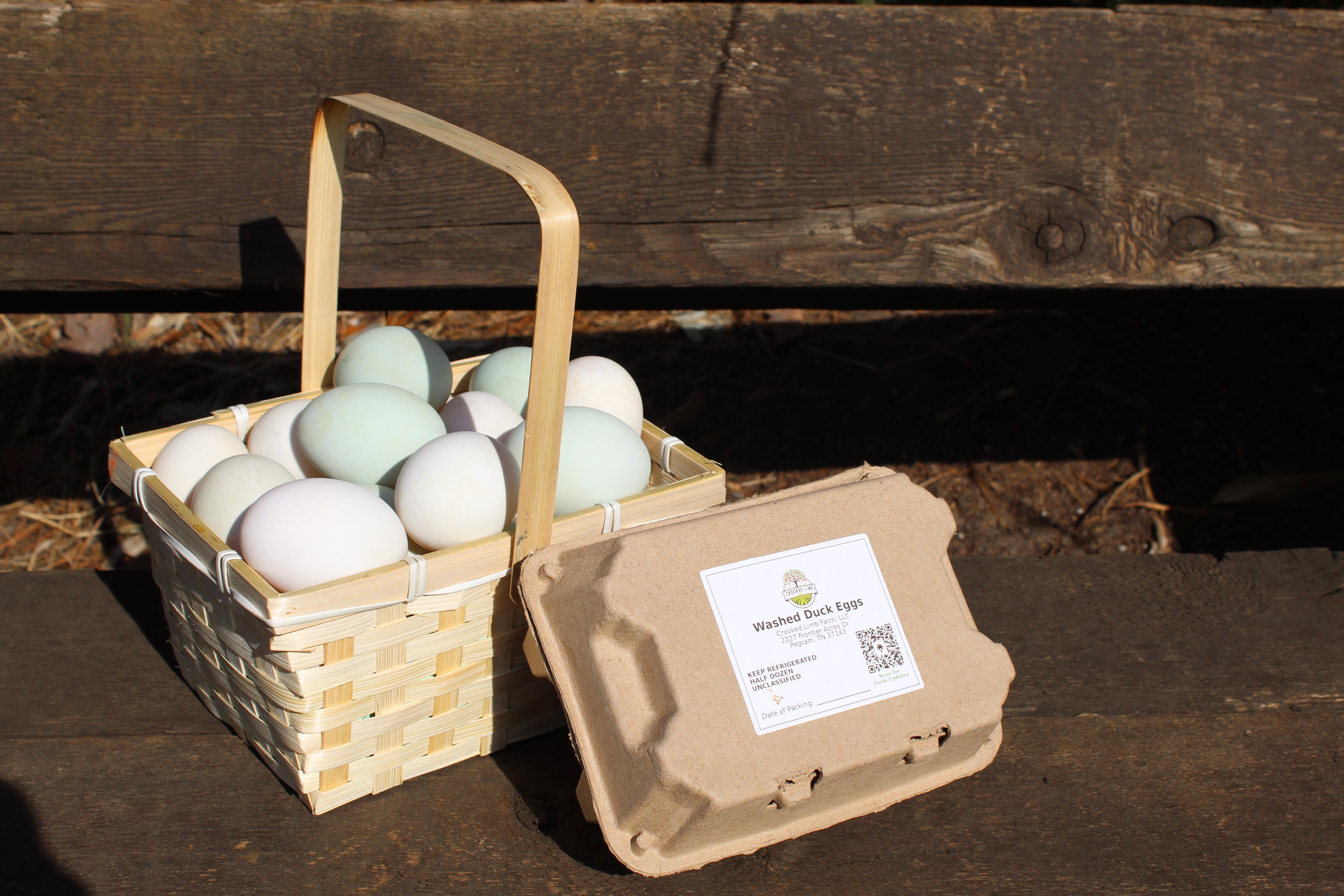 Duck Eggs (12-pack) 🦆🥚